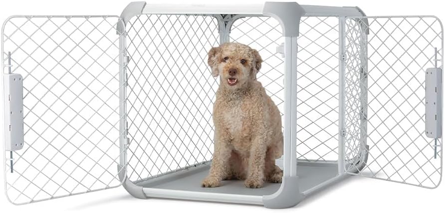 DIGGS Evolv Dog Crate - Slim, Durable Dog Kennel with Removable Ceiling Panel and Modular Design - Safe, Stylish, and Convenient (Ash, Small)
