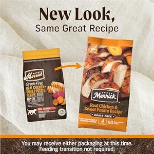 Merrick premium grain free dry grownup canine meals healthful and pure kibble with actual rooster and candy potato  22 0 lb Bag   cucciolini doodles