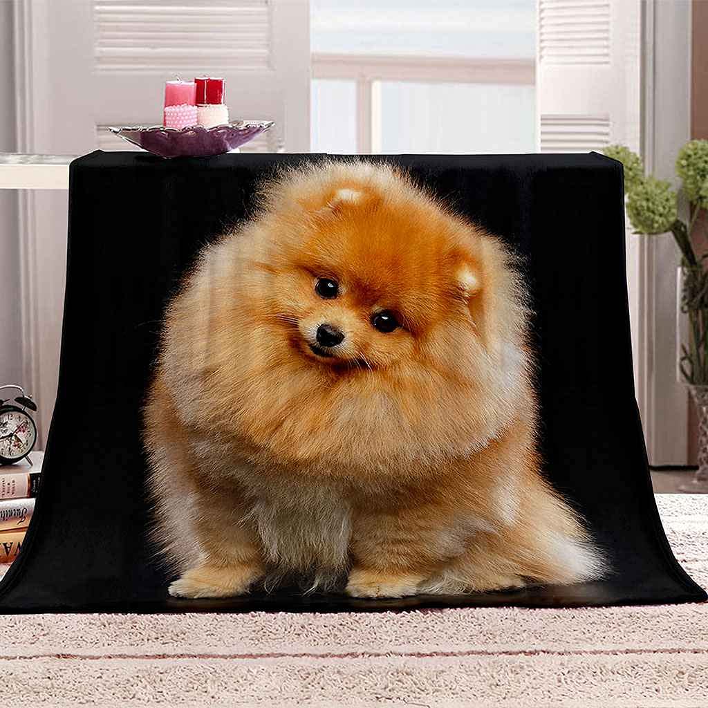 Couverture polaire chiot doré pour des soirées cocooning au chaud sur le canapé