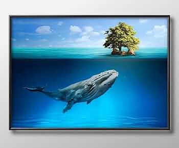 61Ryt-UBaUL._AC_UF350, 61Ryt-UBaUL._AC_UF350,