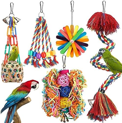Bird Toys Rope Perch with Bell Colorful Bird Chewing — shown in a real home setting for scale