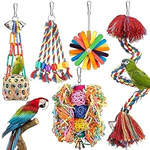 Bird Rope Perch With Bell – C...