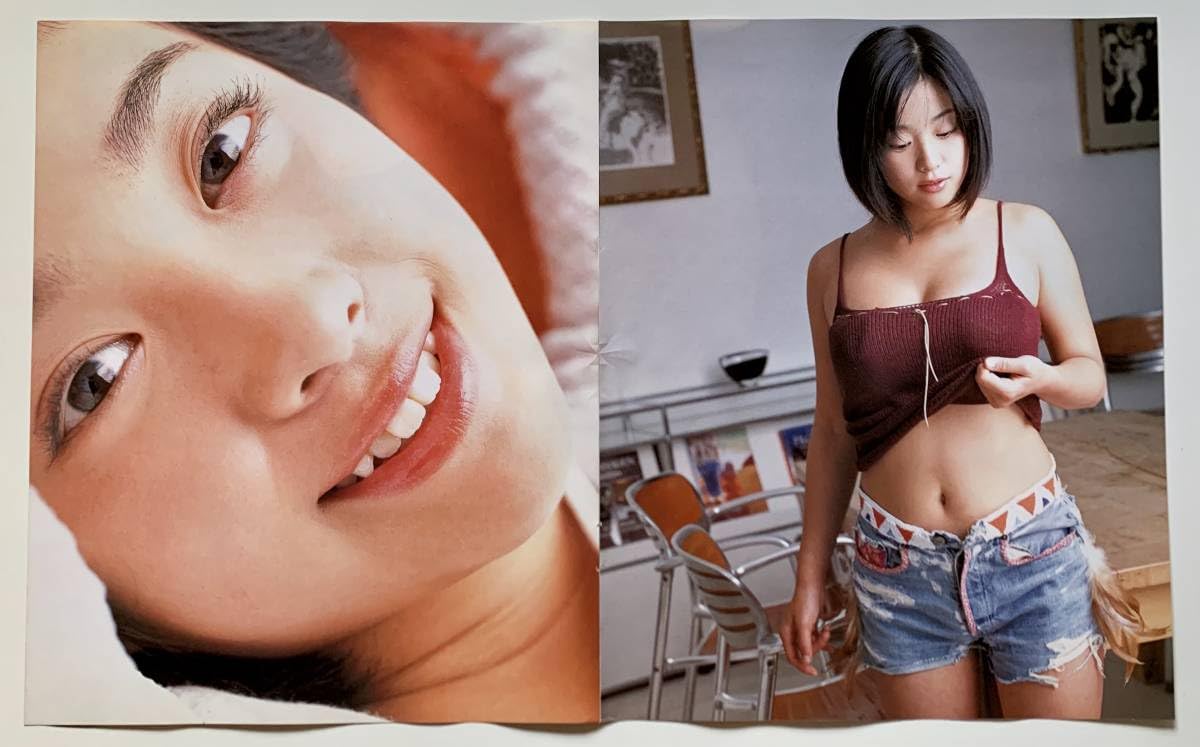 井川遥(1冊200円計算)42冊分167ページ切り抜きしファイリング済み Amazon.co.jp: 小向美奈子 井川遥 切り抜き 7枚(13ページ分