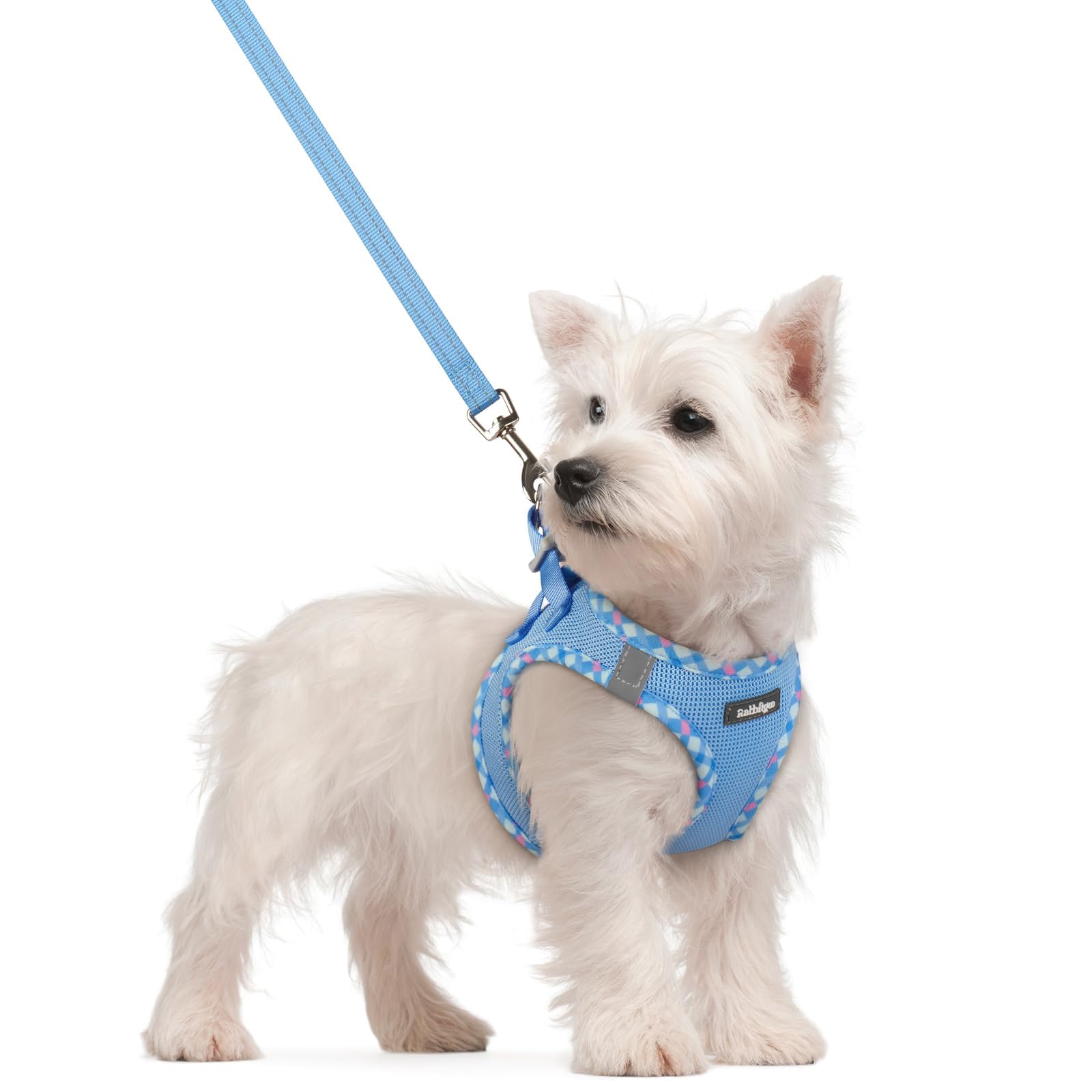 rabbitgoo Dog Harness Small Dog and Leash Set, Step-in Soft Mesh Puppy Harness with Reflective Strips, Lightweight Breathable Pet Vest for Walking Training, Blue & Plaid Trim, S