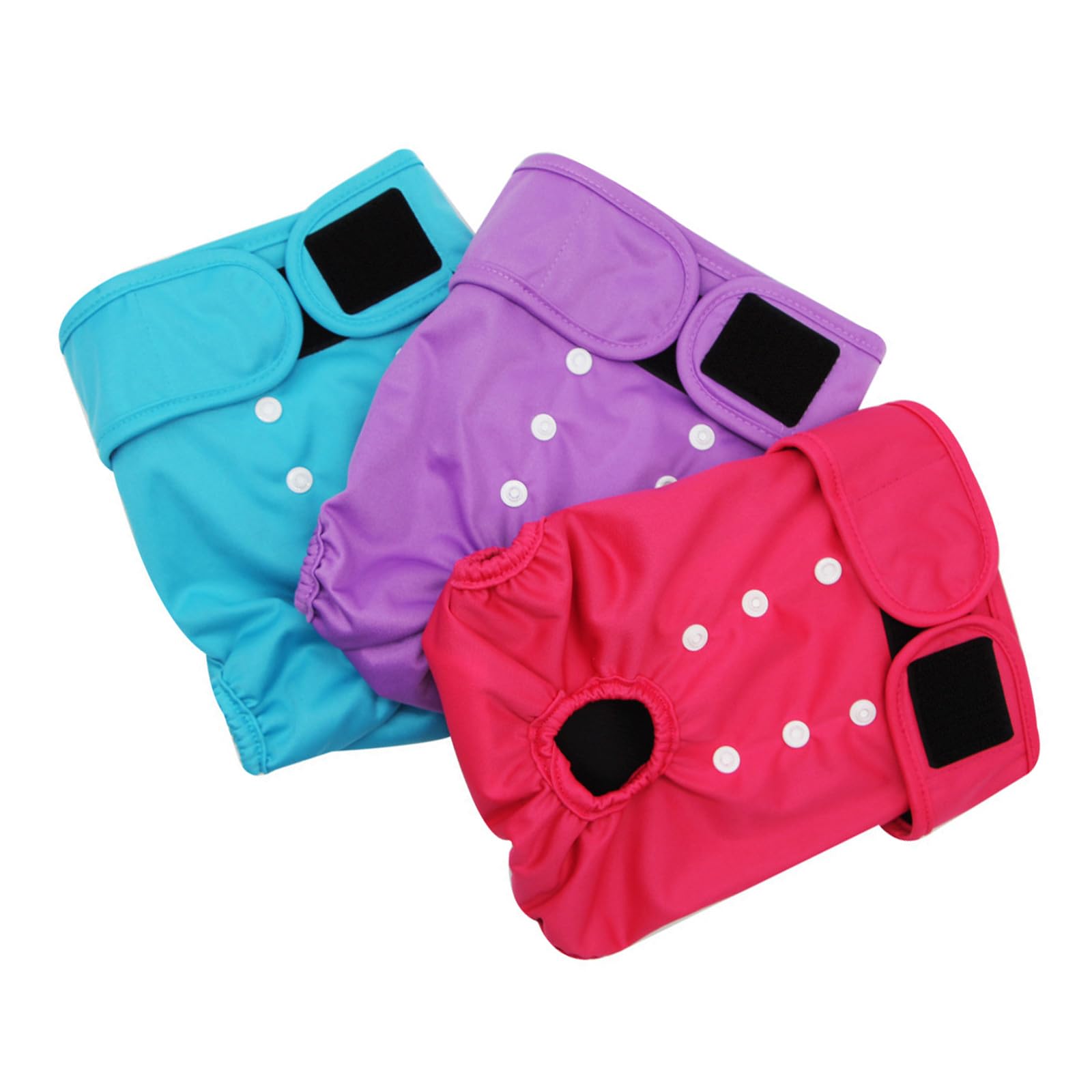 Couches chiens femelles ajustables pour protéger vos canapés et tapis