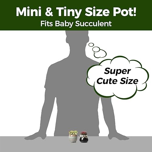 Miniatura 2 de T4U Juego de 3 macetas para suculentas con bandeja de bambú, macetas de cerámica de 3 pulgadas para plantas, maceta de estilo japonés, regalo para