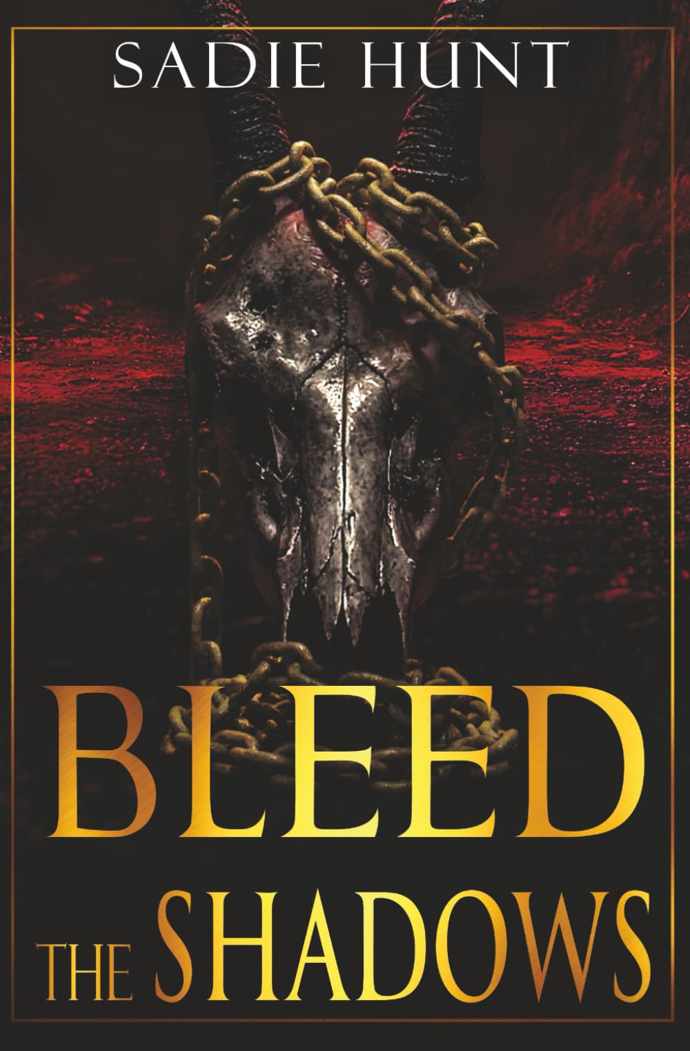 Bleed the Shadows: Discreet Cover Edition (Blackwell Butchers)