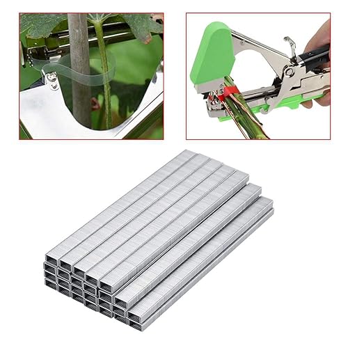 Miniatura 2 de Clavo de unión de ramas, 10000 unidades de grapas para plantas de jardín, herramienta de cinta para uvas, frambuesas, tomates y verduras de vid
