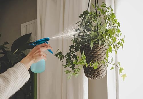 Miniatura 5 de Rayson - Botella con atomizador