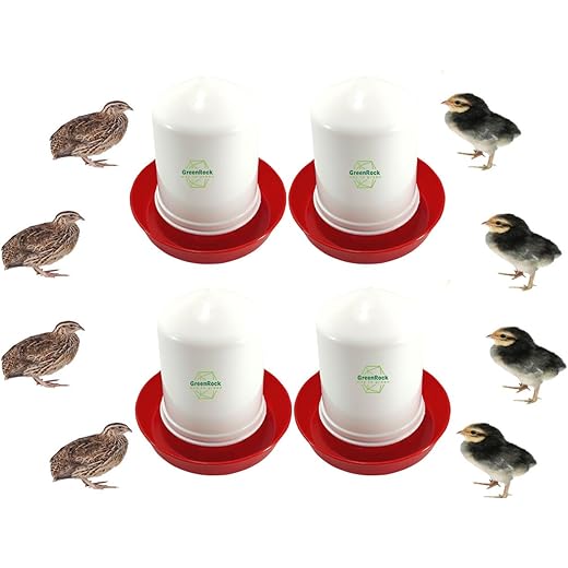 Greenrock Bird Feeder & Drinker Combo 2 Pack