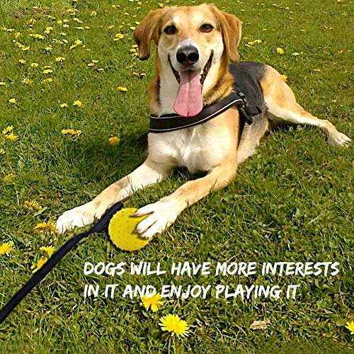 Vivifying Hundeball auf einem Seil, 2 Stück Interaktiver Naturkautschuk Ball Hund zum Apportieren, Fangen, Werfen und Ziehen des Krieges(Orange + Gelb)