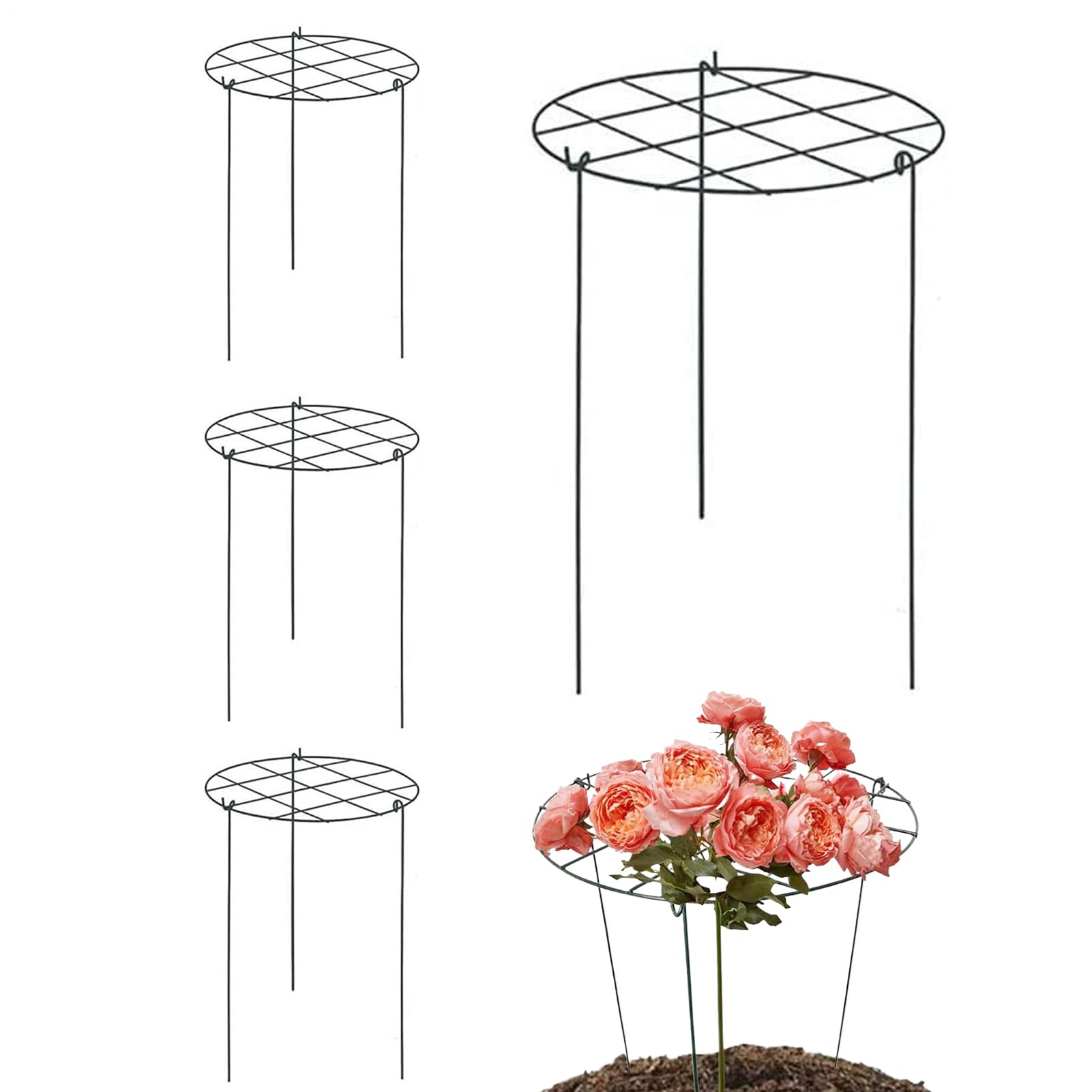 Anneaux de support pour fleurs pivoines tomates et monstera