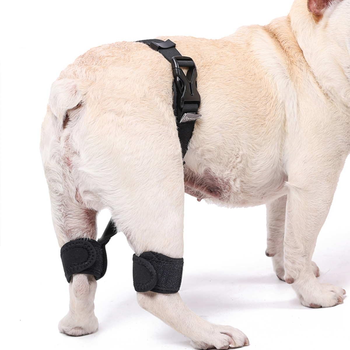 Amazon | Nikkashop 犬 サポーター 股関節 小型犬 Sサイズ