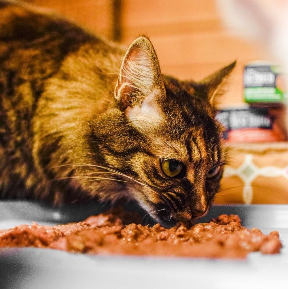 Best Breed Dr. Gary's Tuna & Chicken Canned Food for Cats - 24 x 5.5 oz.