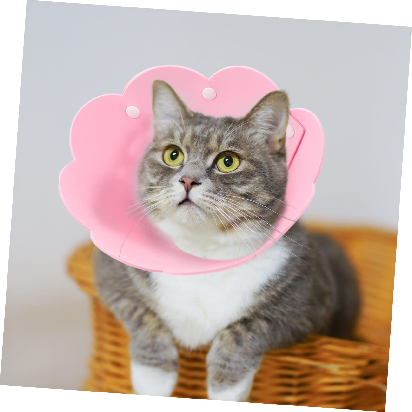 Abaodam 3Pcs Cat Recovery Collars Sunflower Design Soft Eva Protective Neck Collars for Cats after Surgery Injury Breathable Pet Neck Circle - Image 3