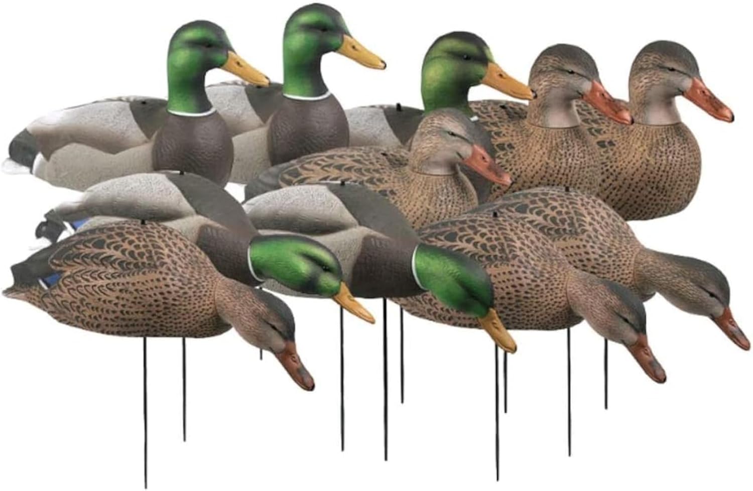 Avery 12 Pack of Over-Size Mallard Shell Harvester Decoys (70167)
