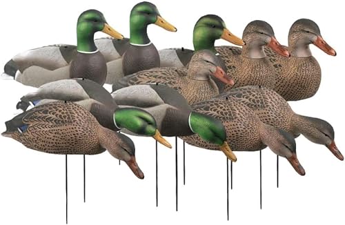 AVERY 12 Pack of Over-Size Mallard Shell Harvester Decoys (70167)