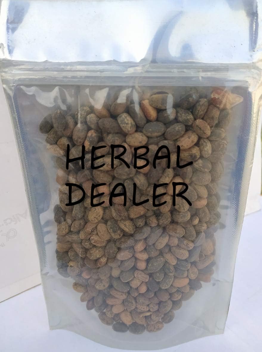 NEERAJ Jamalgota Seed|Croton Seed|Croton tiglium Seed|Jamalghota Seed|100 Gm