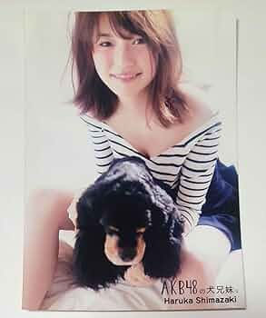 AKB48　nanacoカード　島崎遥香　セブンイレブン AKB48 nanacoカード 島崎遥香 セブンイレブン