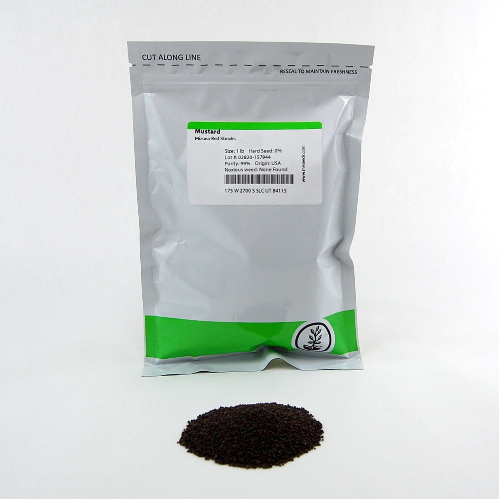 Amazon.com : Mizuna Mustard Seeds: 1 Lb - Non-GMO Japanese Mustard