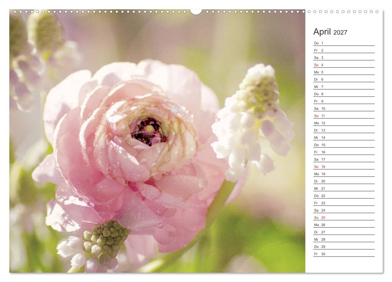 CALVENDO - Blumenfreude Terminkalender (Wandkalender 2027 DIN A2 quer), Monatskalender: Mit wunderschönen bunten Blumen und Blütenbilder durch das Jahr