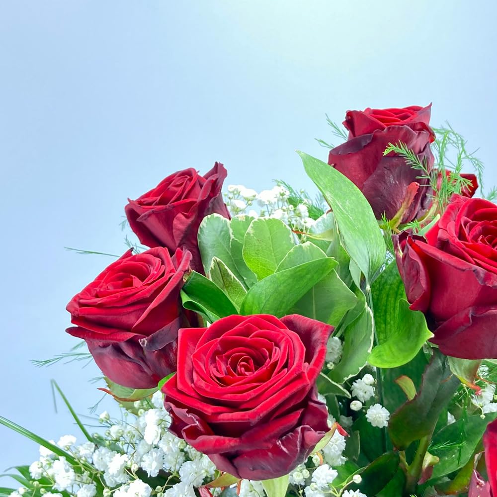 Roter Rosenstrauß - Blumenstrauß mit 10 roten XXL Rosen und Schleierkraut - Inklusive gratis Grußkarte