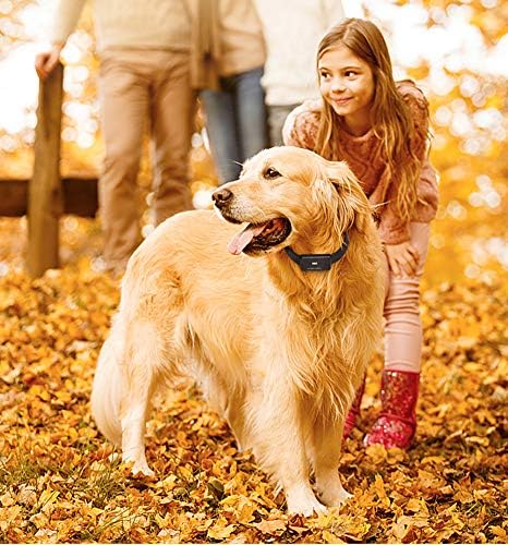 cat gps collar amazon