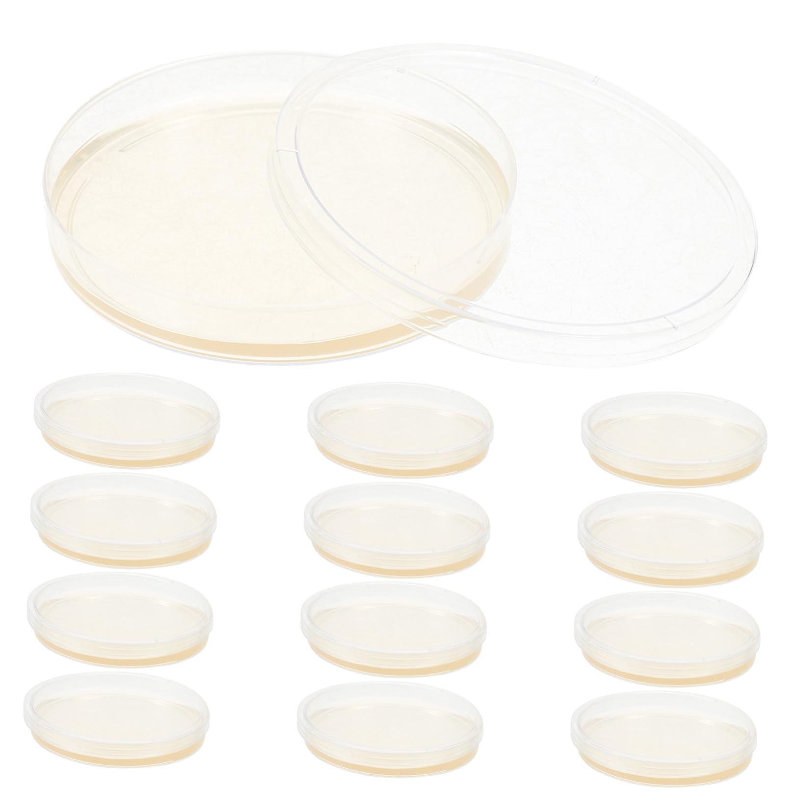 GANAZONO Placas de Petri Agar Nutritivo Pre-Vertido, 20 Piezas de Plástico Estéril de 9 CM para Experimentos Científicos y Almacenamiento de Muestras