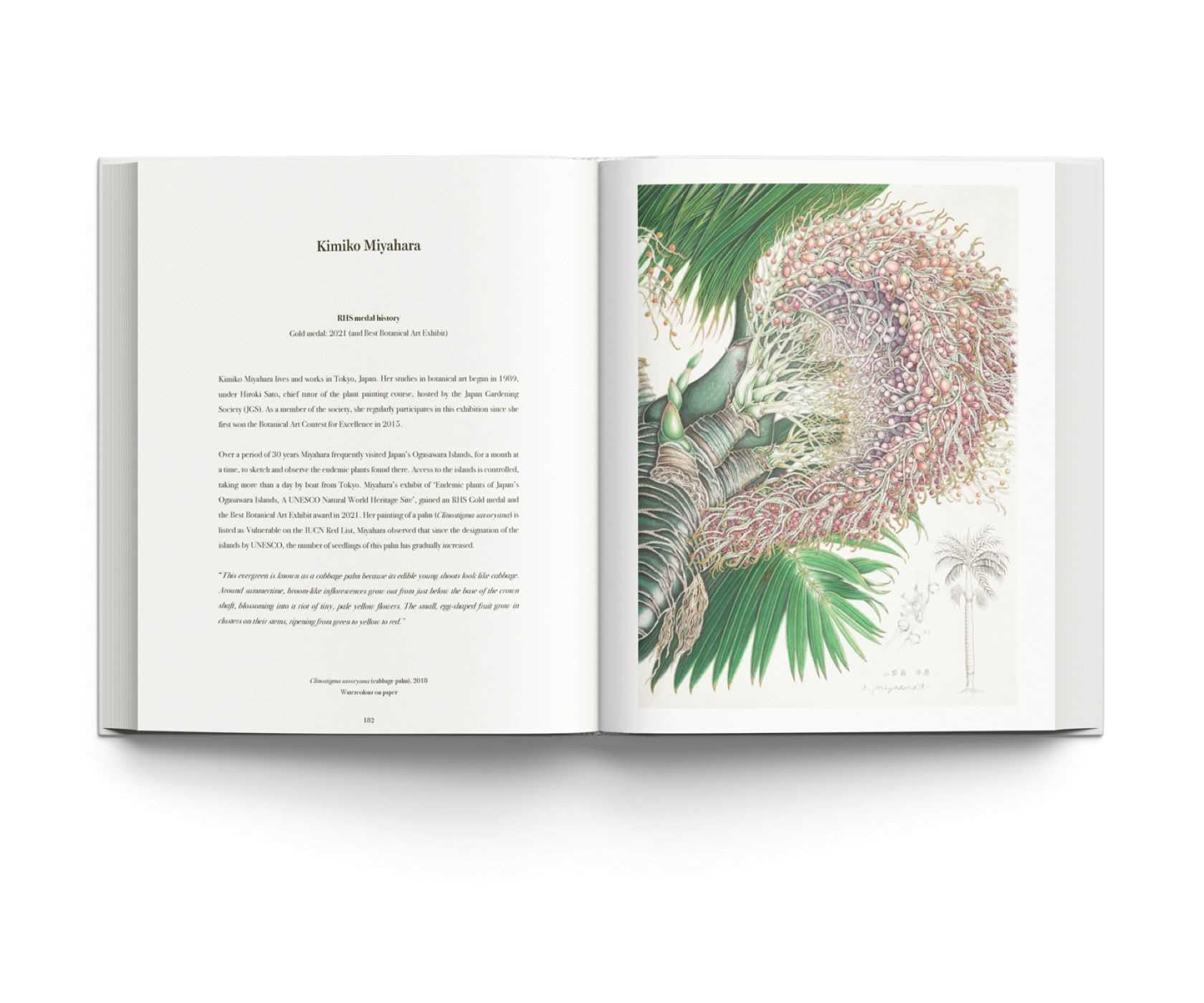 RHS Botanical Illustration (New ed) /anglais: The Gold Medal Winners