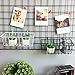 ANZOME Wire Wall Basket, Grid Basket with Hook, Wall Mount Organizer for Wall Grid, Wire Storage Shelf Rack for Home Supplies, Wall Decor(Black)