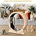 Cat Wheel, Cat Exercise Wheel with Cat Teaser, Cat Running Wheel Treadmill with Carpeted Runway and Cat Teaser, Fitness Weight Loss Device Cute Cat Furniture, Pet Toy, Cat Toy