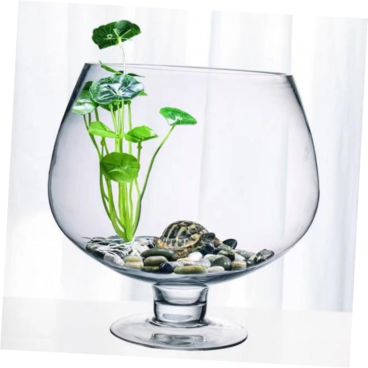 Kisangel Glass Fish Bowl Vase 5000ml Desktop Goldfish Tank Small Aquatic Plant Aquarium Natural Fish Tank for Home Office Decor