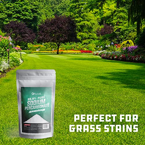 Image of Ecoxall Premium Sodium Percarbonate Bulk, 10 lbs (160 oz), Pack of 1