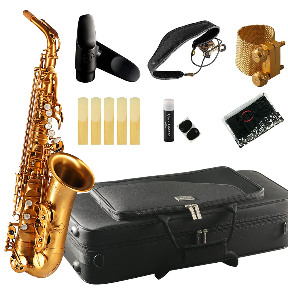 Rollins Saxophone alto RSA-X4,E flat,Selmer 54-Key,Matière laiton,Or