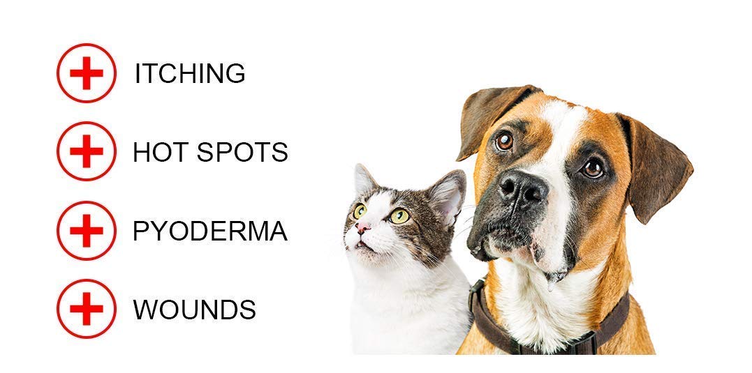 Forticept Blue Butter Antimicrobial Gel, Antiseptic Hydrogel Wound