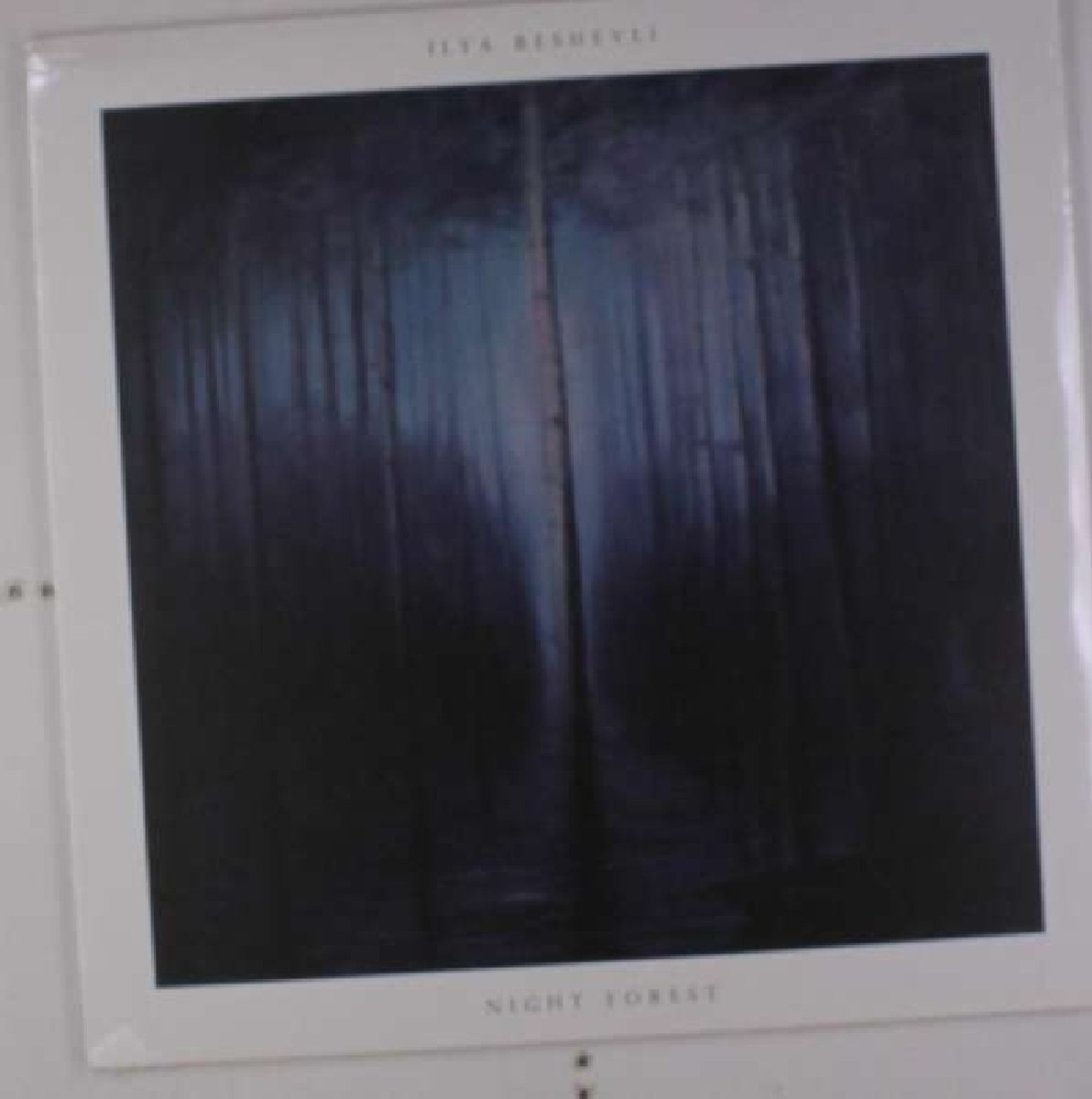 Ilya Beshevil: Night Forest [VINYL]