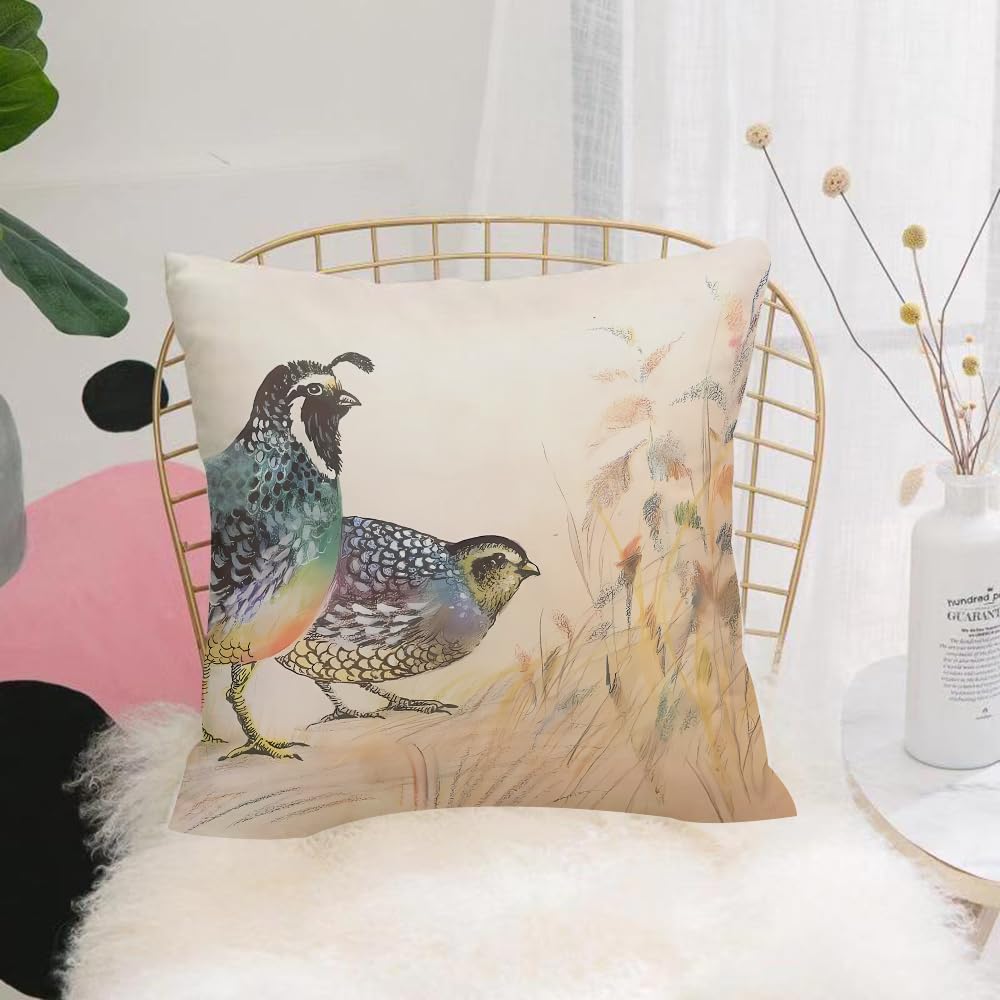 HYOSXW Cushion Cover,Throw Pillow Case Home Decorative for Living Room Bedroom Sofa Chair 16X16 Inch,Quail, wild bird in pastel brushstroke style,Pillowcase 40X40cm
