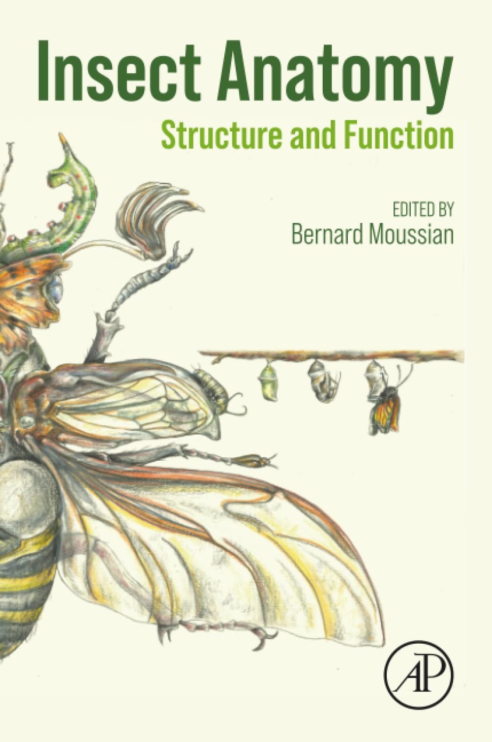 Insect Anatomy : Structure and Function