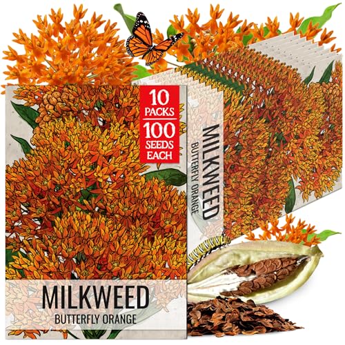 Image of Seed Needs Orange Butterfly Milkweed Seeds for Monarch Butterflies 10 Pack