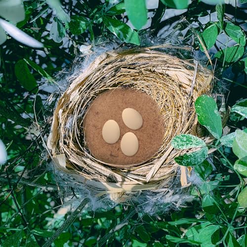 Image of Pigeon Egg Nest Mat - 10Pcs Breathable Light Brown Nest Pads for Pigeons and Birds Ideal for Nesting and Egg Laying