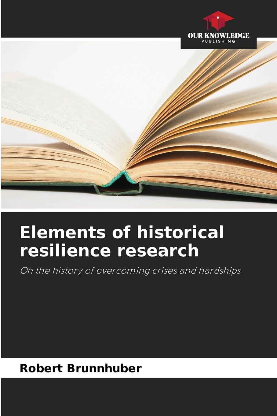 Elements of historical resilience research: On the history of overcoming crises and hardships