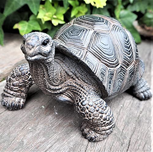 Amazon.co.jp: 亀の置物 かめ カメ タートル T14192 動物 置物 