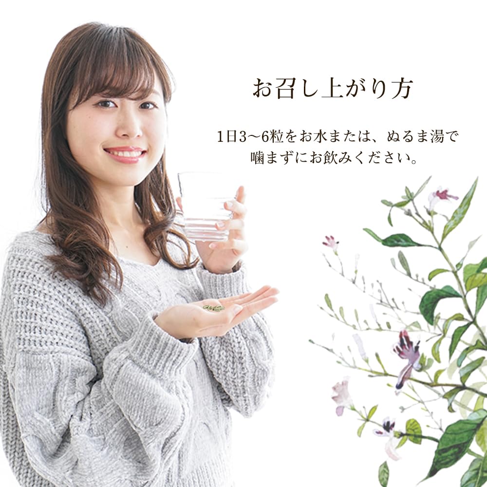 Amazon.co.jp: お試し AGPセンシンレン センシンレン サプリメント 30 
