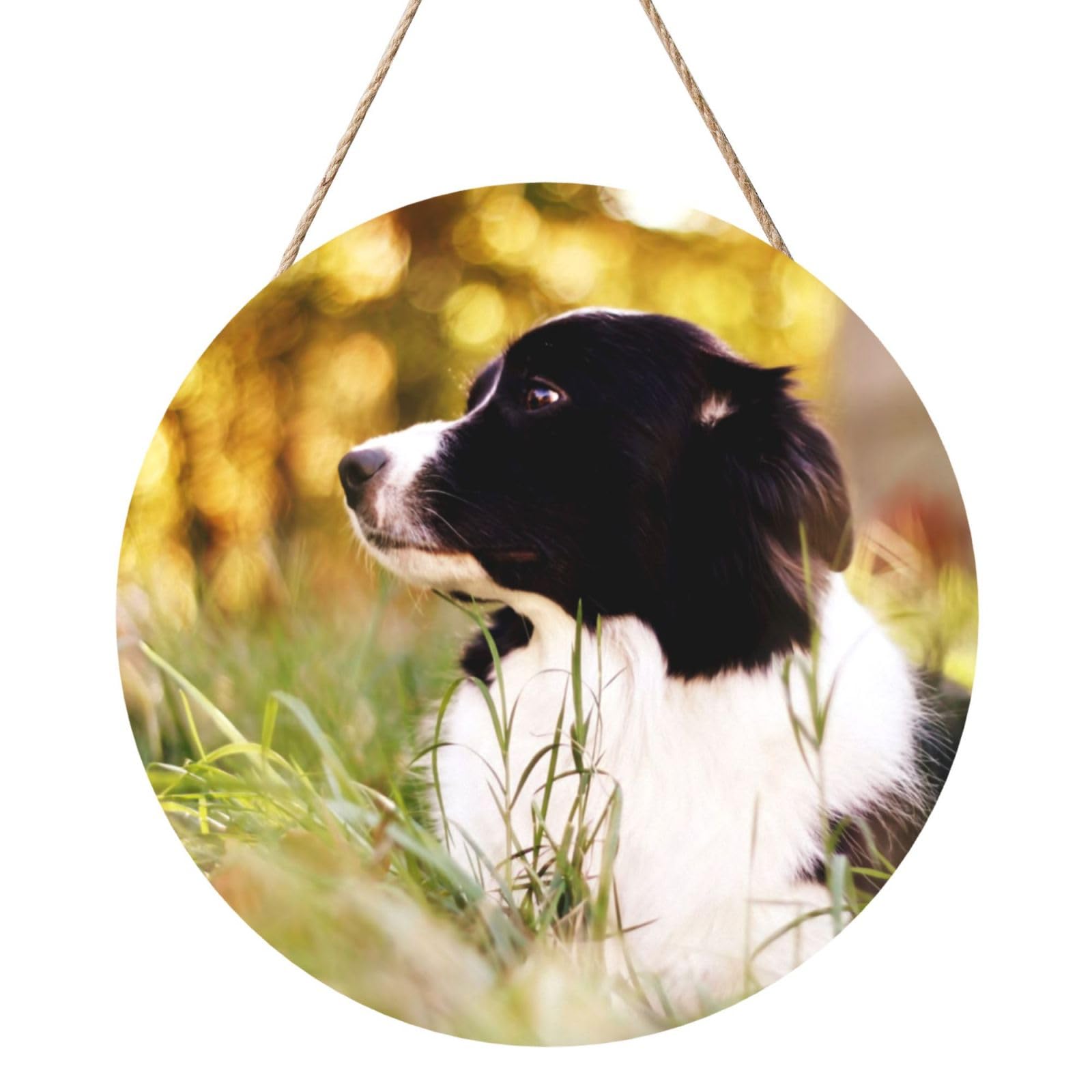 InOmak Animals Border Collie Spotted Dog, Round Wood Panel Painting 12 in, Wall Hanging Painting For Home