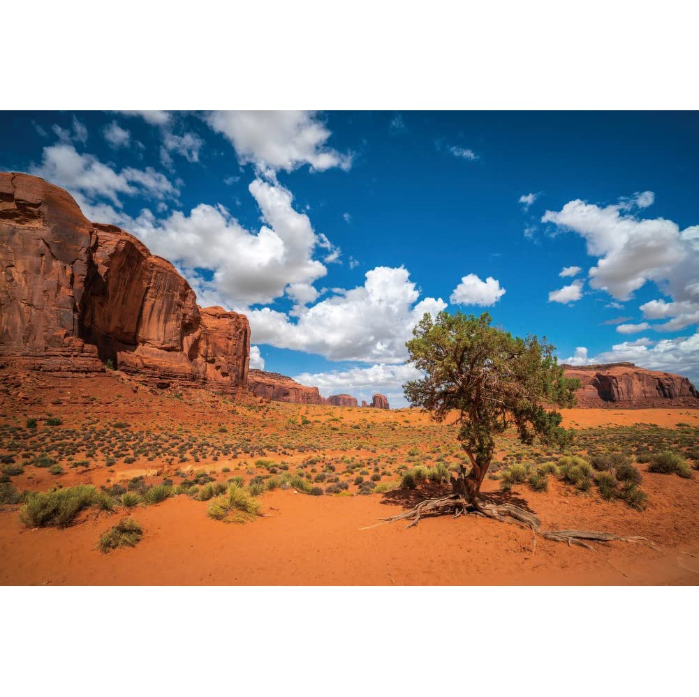 Renaiss Sfondo Fotografico Deserto 3x2m | Paesaggio Di Sabbia Gialla Con Arbusti Per Ritratti E Compleanni - 4