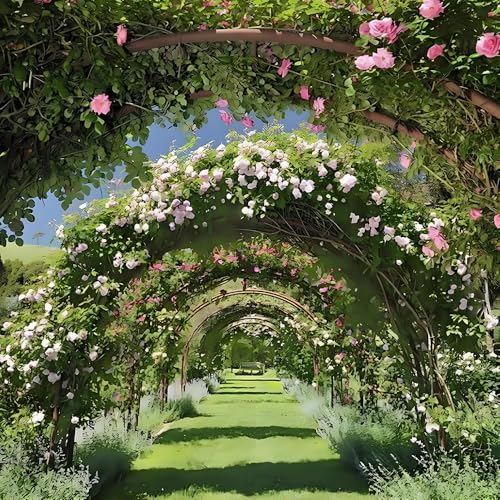 Arche de jardin en métal bronze pour stabiliser vos rosiers