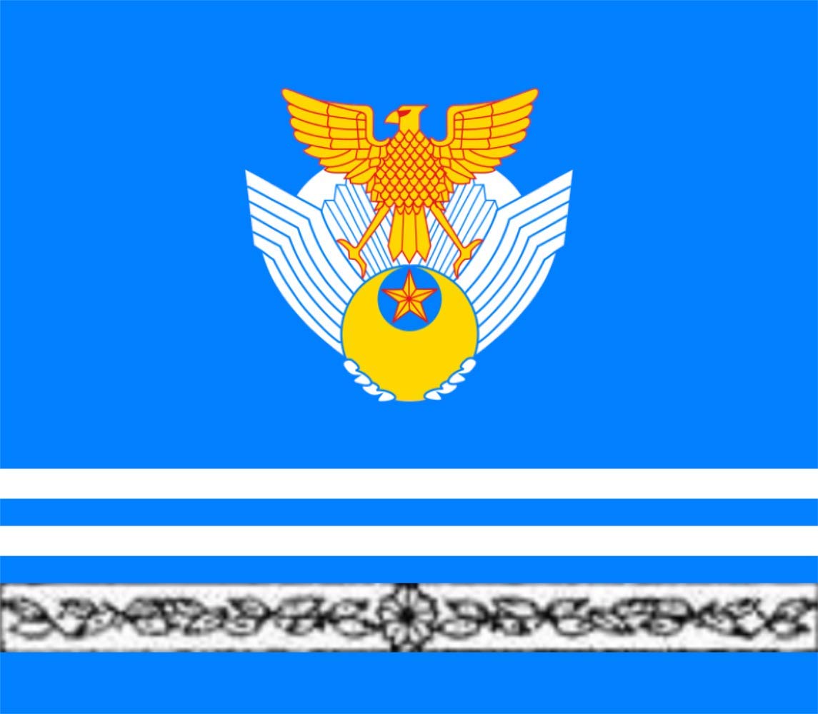 Drapeau Japan Air Self Defense Force grand modèle motif aile pour collection