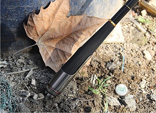 Canna da Pesca di Mare in Acciaio Inox Regolabile