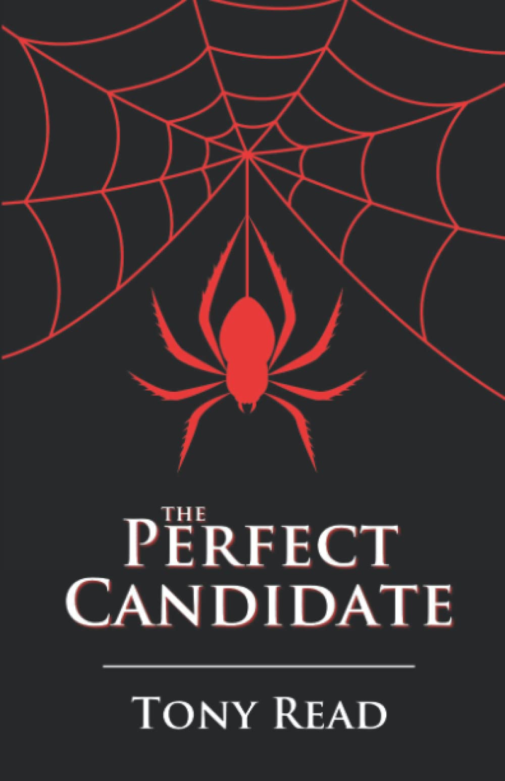 The Perfect Candidate