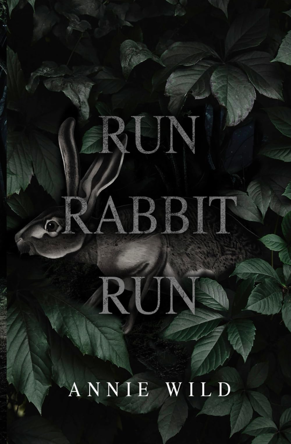 Run Rabbit Run: A Dark Stalker Romance: 1 (Blood and Burrows Dark Romance Duet)